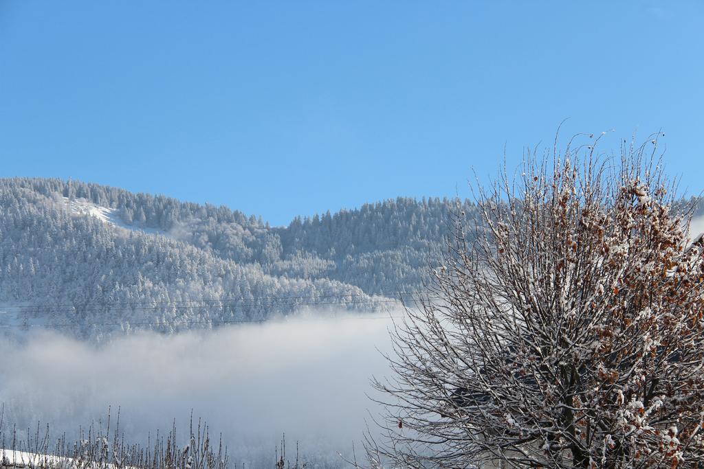 Hotel La Tapia Autrans-Meaudre-en-Vercors Zewnętrze zdjęcie